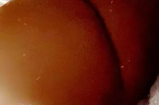 ✨💖Lets have some fun💖✨ - Image 4